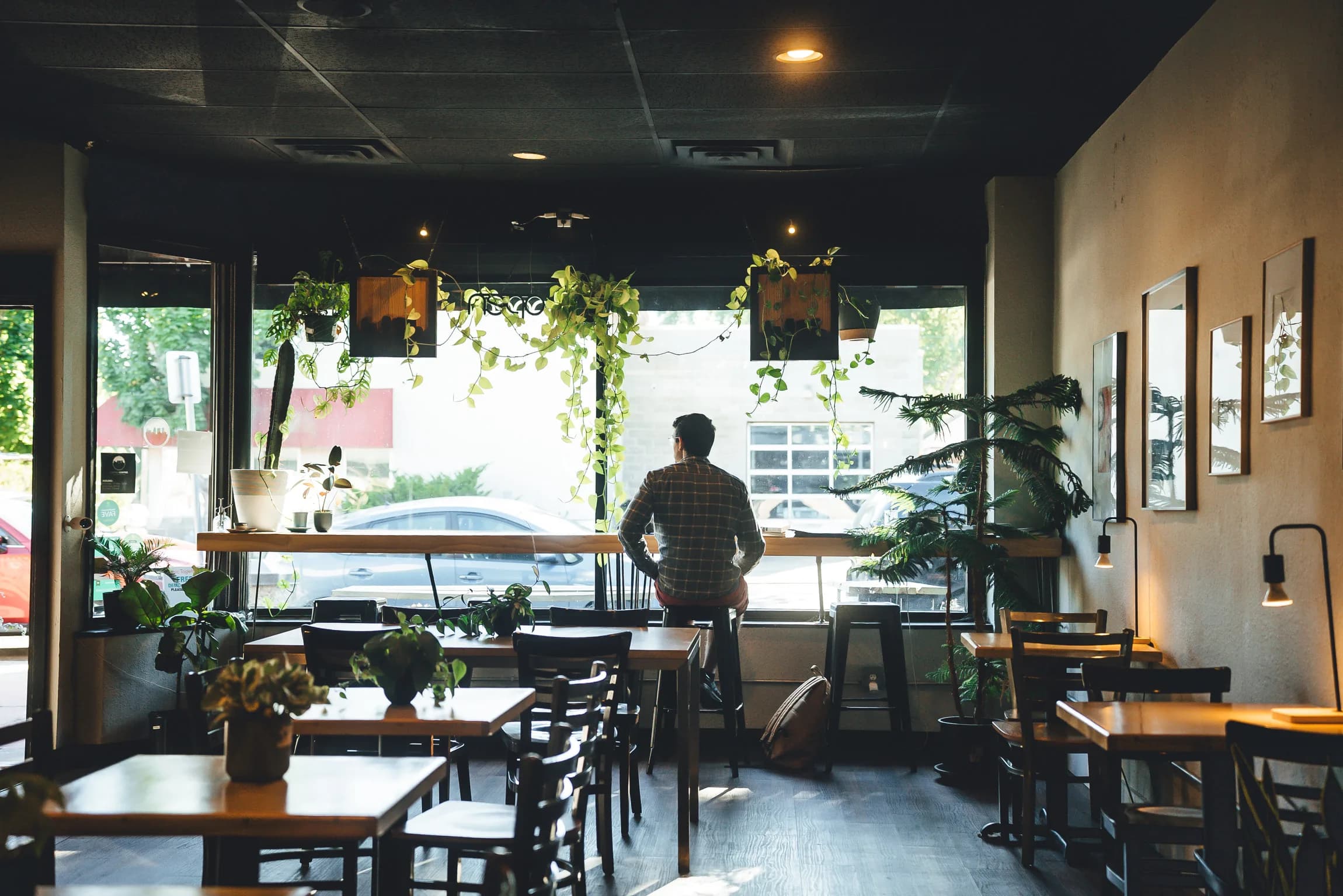 Corner Coffee Camden window bar with hanging plants and morning light