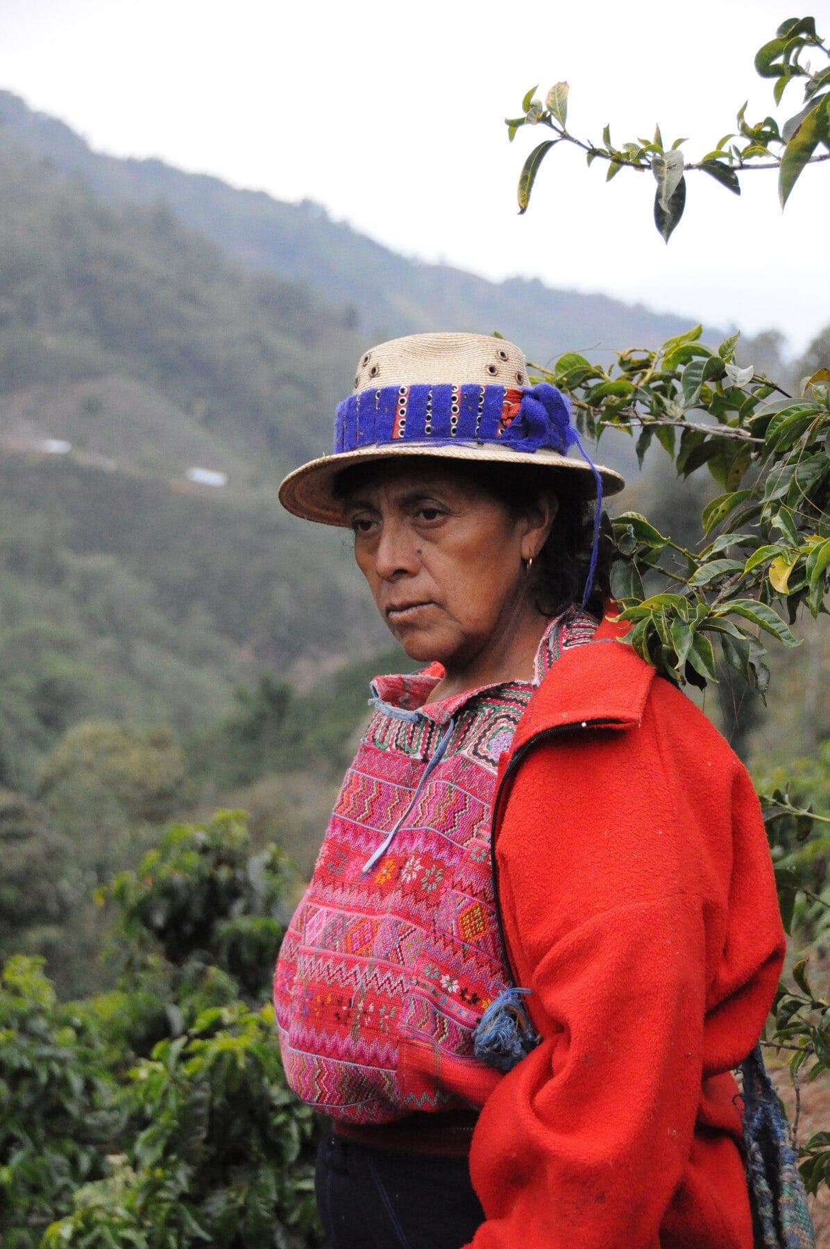 What Changes When 476 Coffee Producers Work Together?