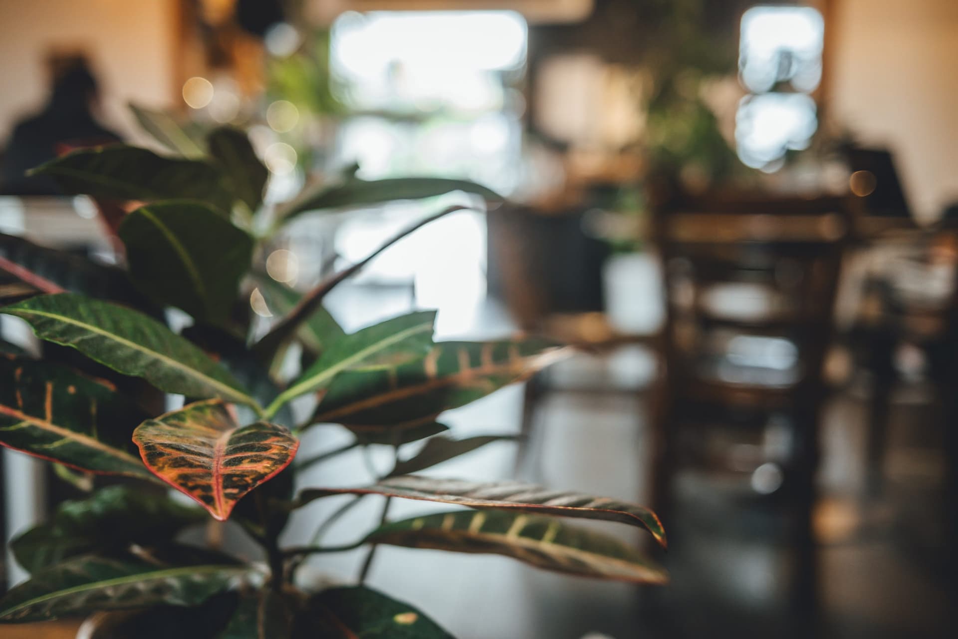 I Owe a Customer a Better Answer About “Mold-Free” Coffee